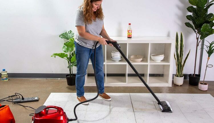 Steam Cleaner