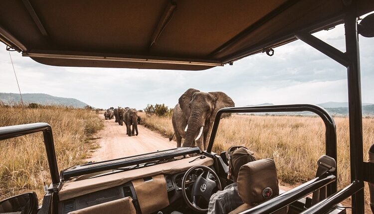 Trodden Safari Track Namibia